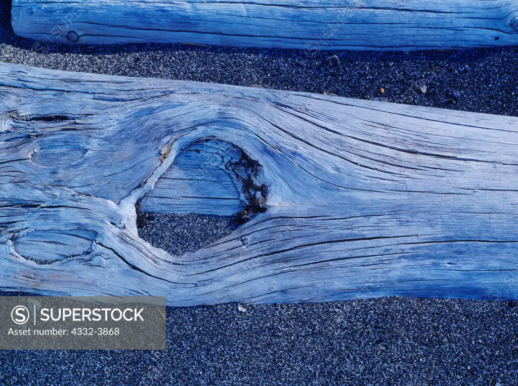 USA, Wyoming, Yellowstone National Park, Silvered Lodgepole Pine logs in bed of volcanic sand, shore of Yellowstone Lake