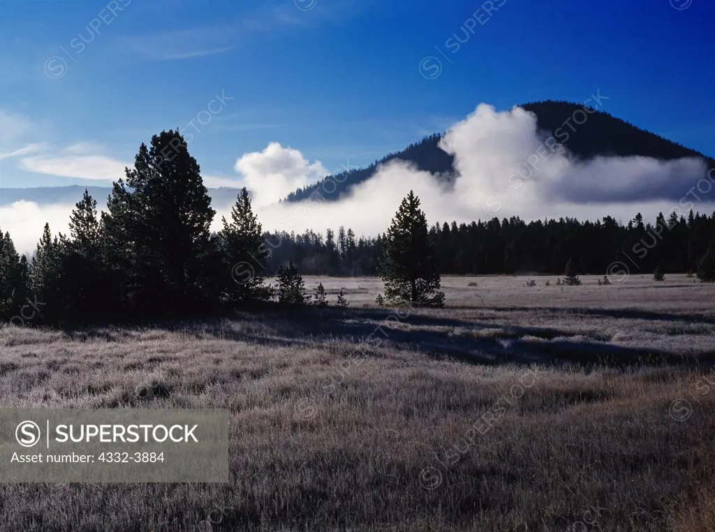 USA, Wyoming, Yellowstone National Park, Frosty fall morning in Gibbon Meadow