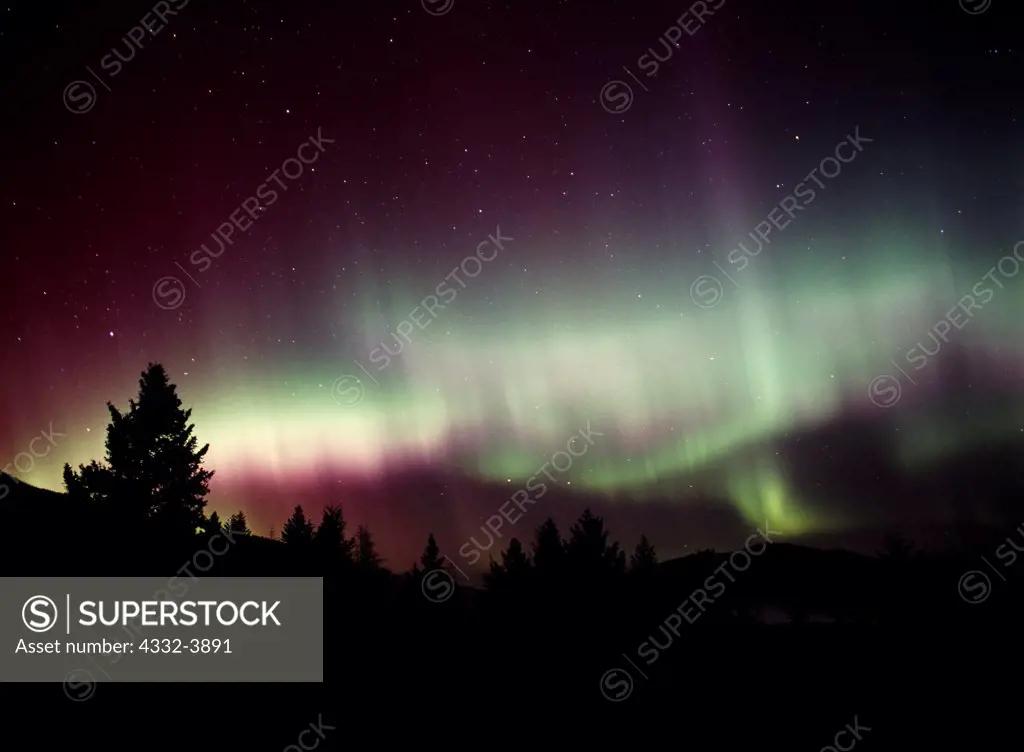 USA, Wyoming, Yellowstone National Park, Aurora borealis or northern lights above Canary Springs, geomagnetic storm on night of November 7-8, 2004