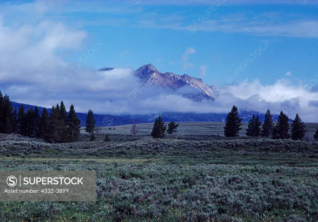 USA, Wyoming, Yellowstone National Park, Gardner's Hole, Electric Peak in morning clouds viewed from Swan Lake Flats