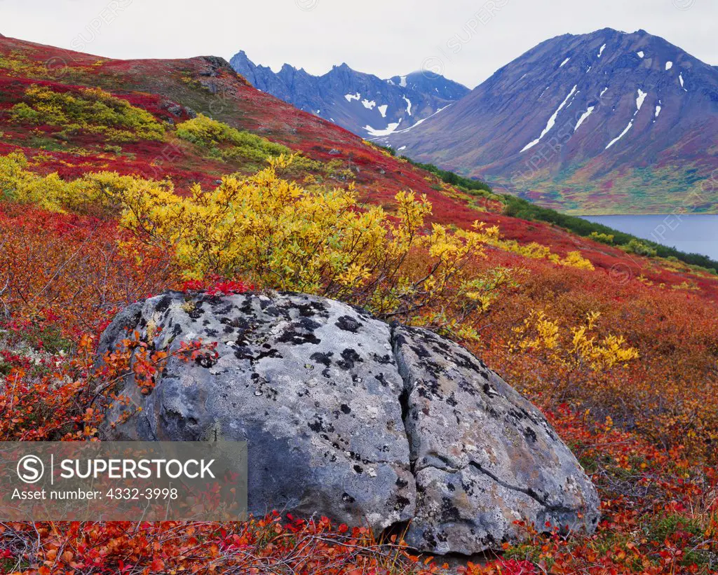Split boulder on tundra hillside with brilliant autumn colors, Gold Lake, headwaters of the Kisaralik River, Southwestern Alaska.