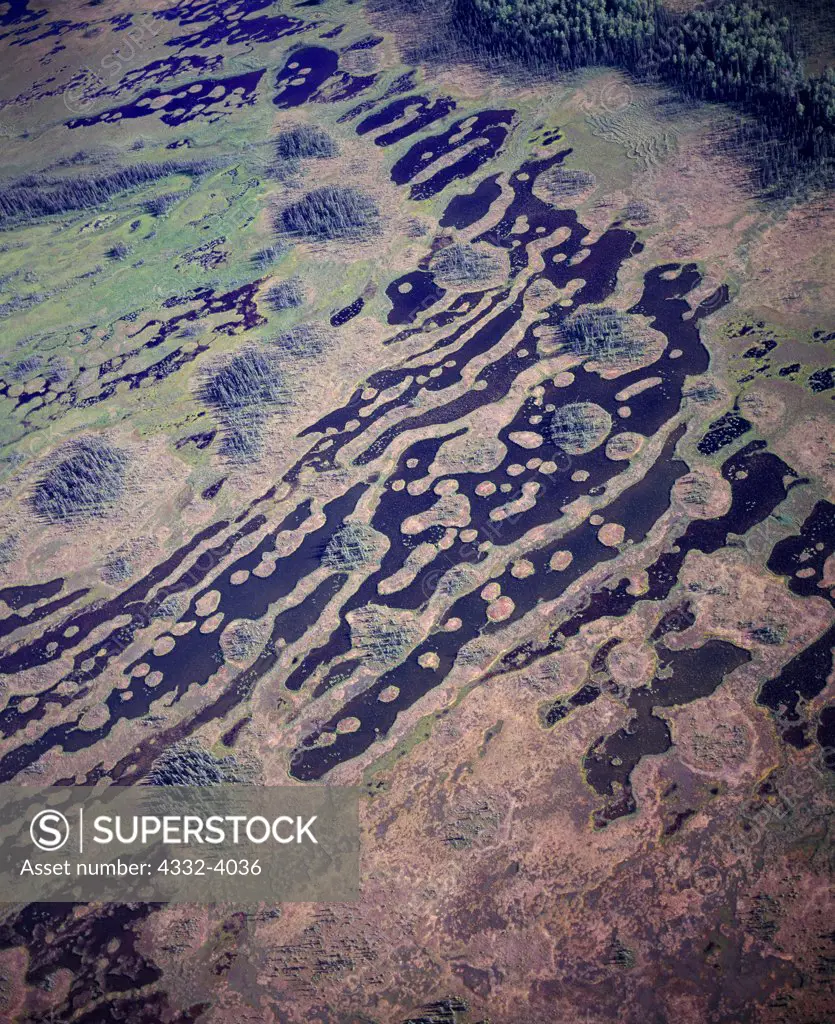 Aerial view of pattern of strangs and flarks of muskeg near the Yentna River, Alaska.