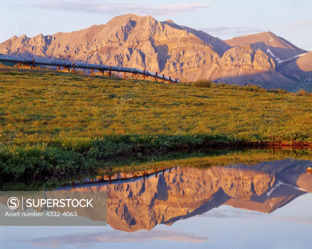 Trans Alaska Pipeline reflected in pond along the Dalton Highway north of the Atigun River Crossing, Philip Smith Mountains of the Brooks Range, Alaska.