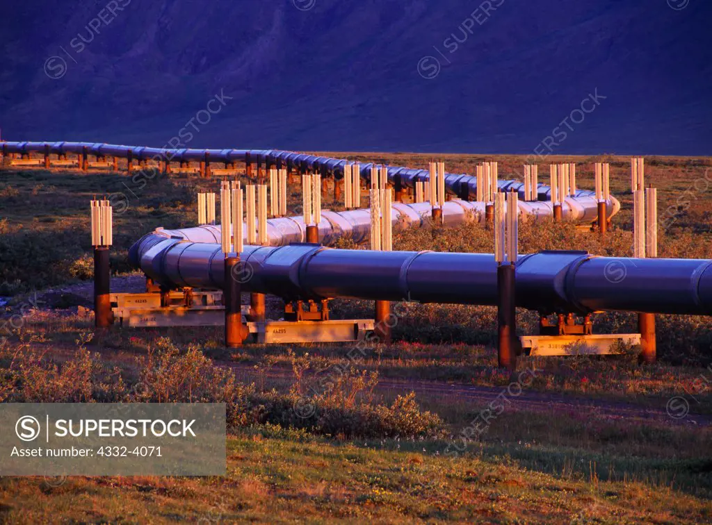 Heat Pipes on the Vertical Support Members (VSMs) of the Trans Alaska Pipeline near mile 153 north of Atigan Pass in the Brooks Range, Alaska.