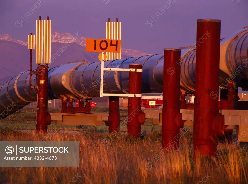 Trans Alaska Pipeline with Vertical Support Members (VSMs) and Heat Pipes, Mile 104 just north of Pump Station 3, Alyeska Pipeline Service Company, Alaska.