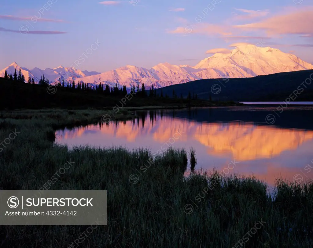 Early morning reflection of North America's tallest mountain, 20,320 foot Mt. McKinley or Denali, in Wonder Lake, Denali National Park, Alaska.
