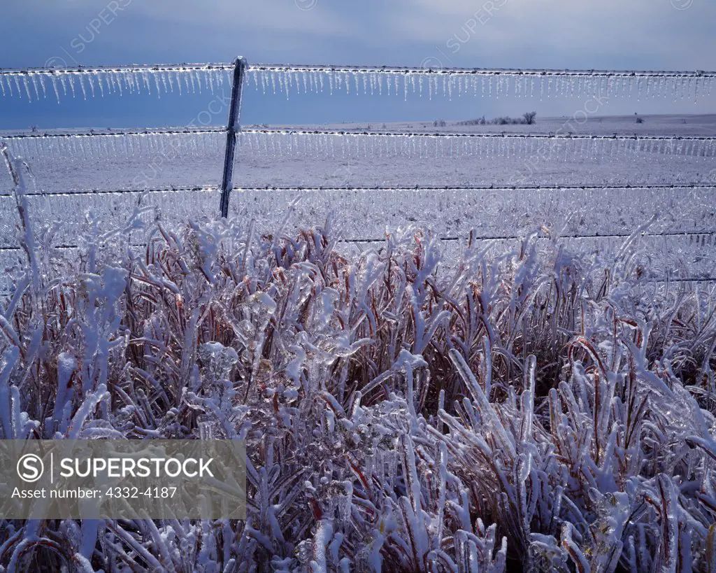 Ice storm coating grass and barbed wire fence near Osage City, eastern Kansas.