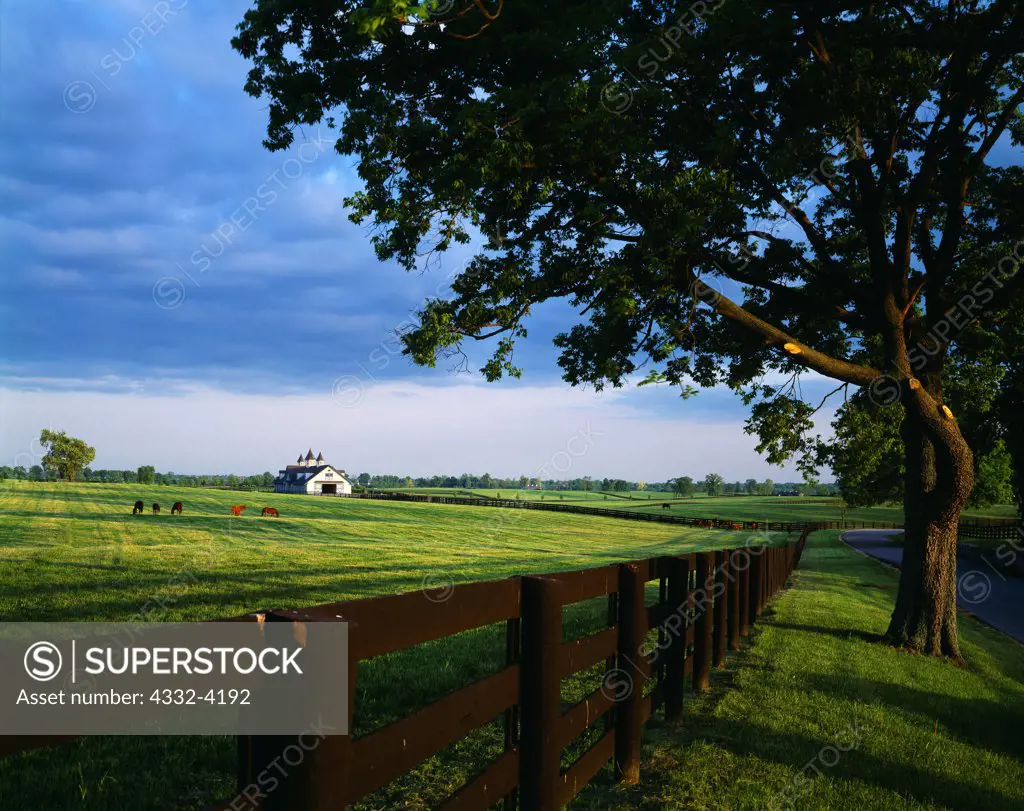 Pasture and stable of Brookside Farms with thoroughbreds, Steele Road, Woodford Country, Kentucky.
