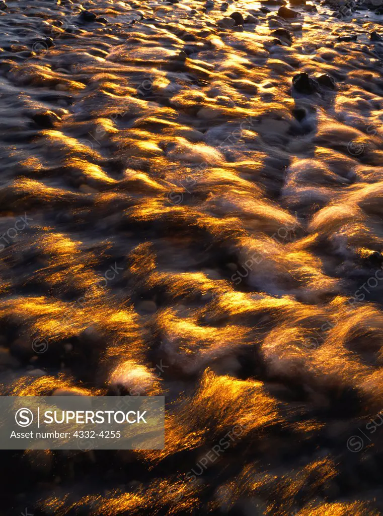 Golden light at sunset illuminating the Tatonduk River splashing over rocks, Yukon-Charley Rivers National Preserve, Alaska.