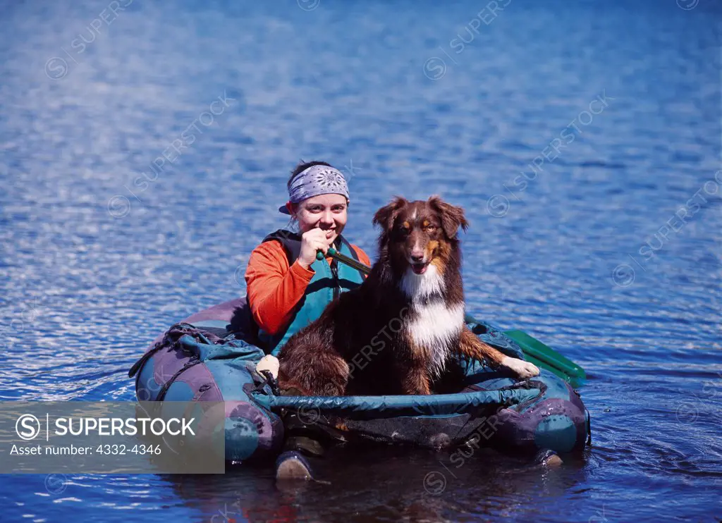 Australian Shepherd, AKC,  2-year-old 'Stony' photographed on Lake Lucille with Katie Borthwick paddling float tube, owned by Fred and Randi Hirschmann of Wasilla, Alaska.