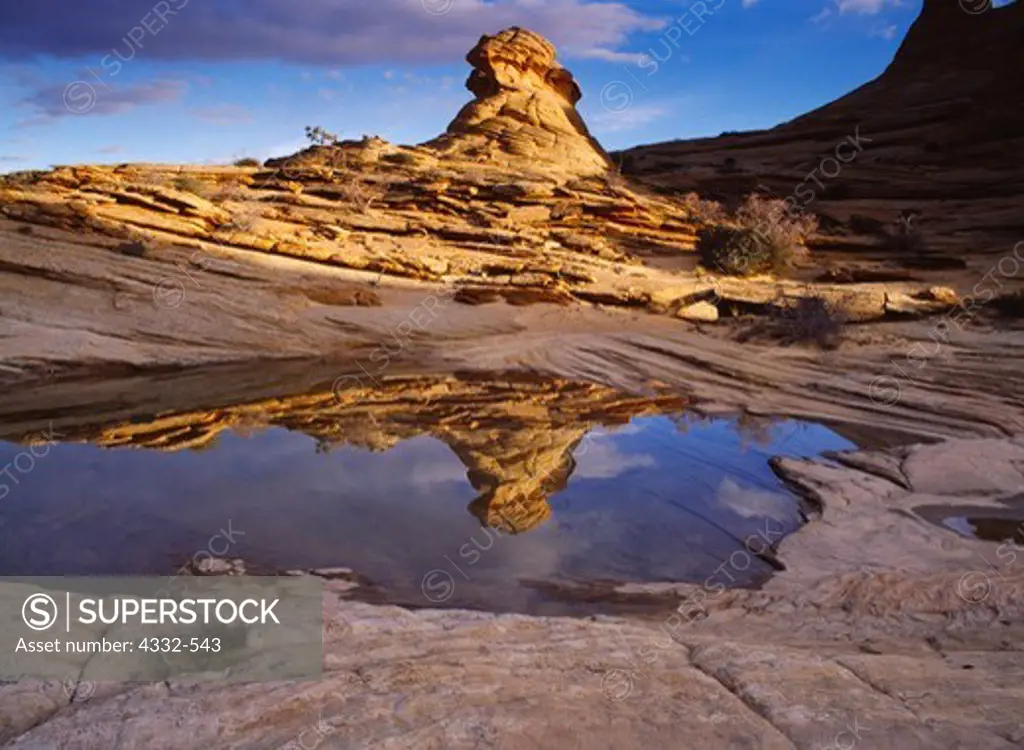 Navajo Sandstone beehives reflected in ephemeral slickrock pool, Vermilion Cliffs National Monument, Paria-Vermilion Cliffs Wilderness, Arizona.