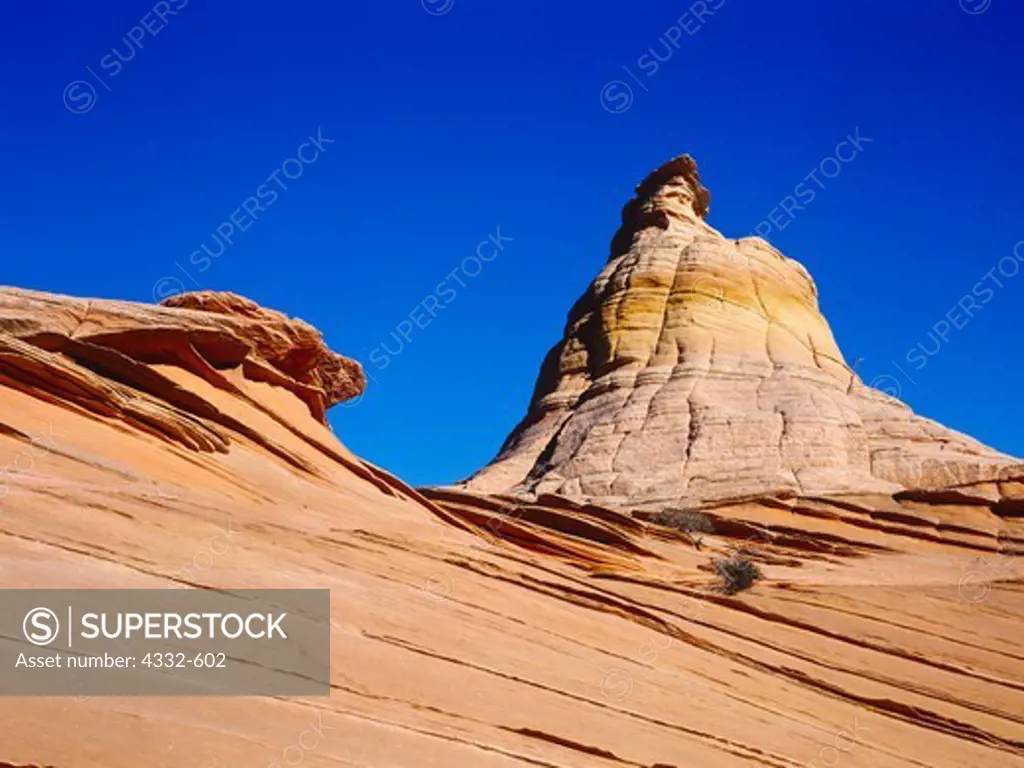 Wind-sculpted dome of Navajo Sandstone, Vermilion Cliffs National Monument, Paria-Vermilion Cliffs Wilderness, Arizona.