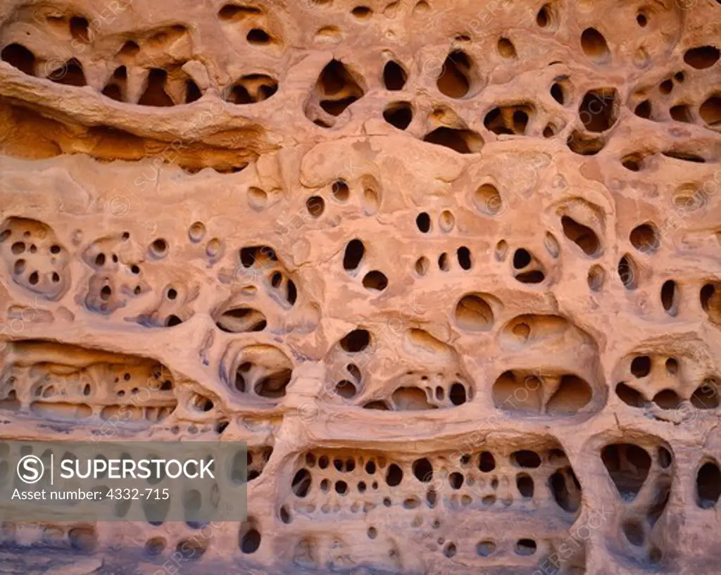 Ornate pattern of weathered sandstone, backcountry of Wupatki National Monument, Arizona.