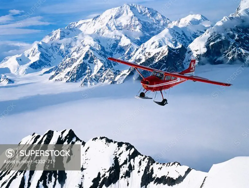 K2 Aviation's Cessna 185 on wheel skis flying above the Kahiltna Glacier with Mt. McKinley beyond, Denali National Park, Alaska.