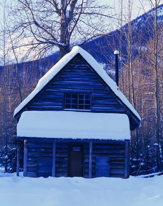 Historic cabin at Sunrise-Hope Mining District State Historical Site, Hope, Alaska.