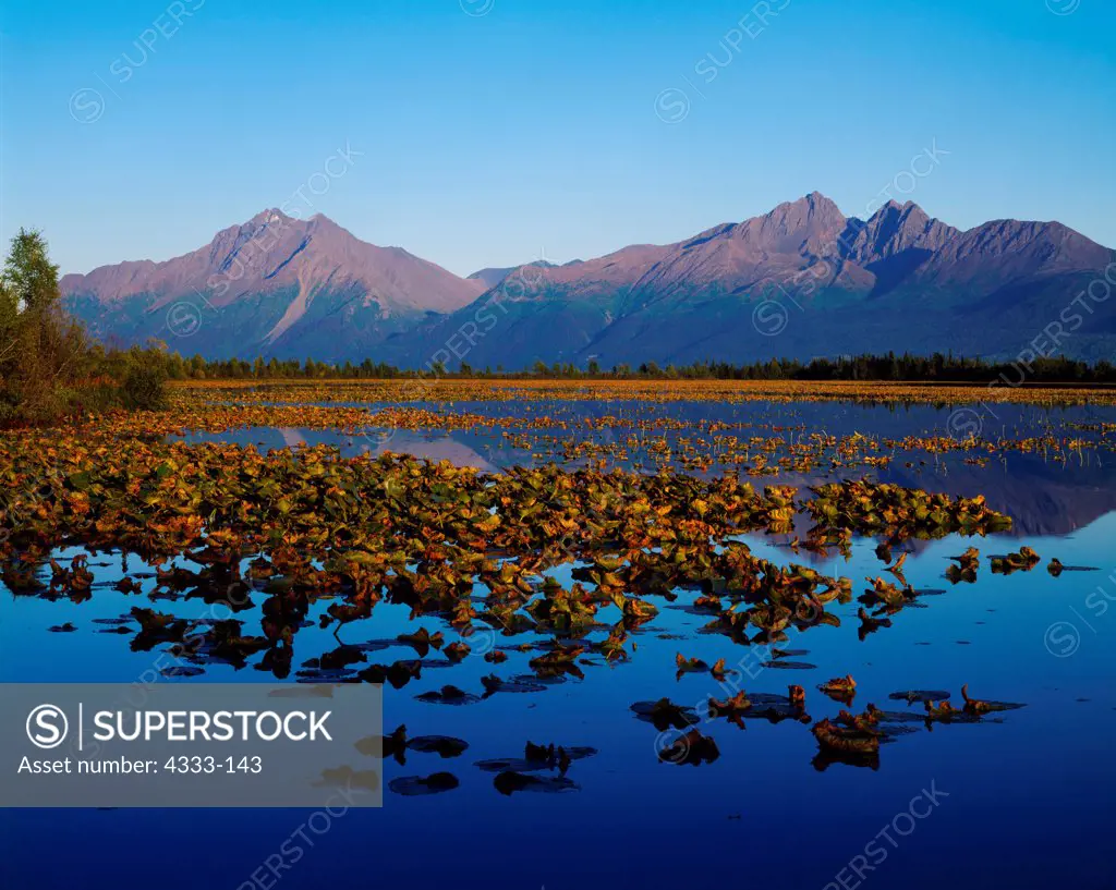 USA, Alaska, Matanuska Valley, Palmer Hay Flats, Pioneer Peak, Goat Mountain and Twin Peaks of Chugach Mountains reflected in Dinkel Lake