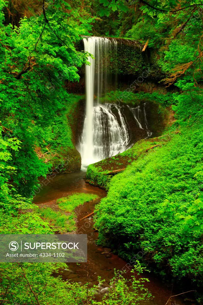 USA, Oregon, Silver Falls State Park, Middle North Falls