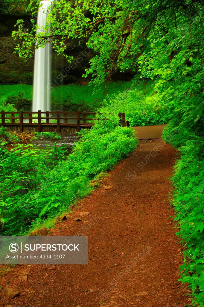 USA, Oregon, Silver Falls State Park, South Falls and hiking bridge