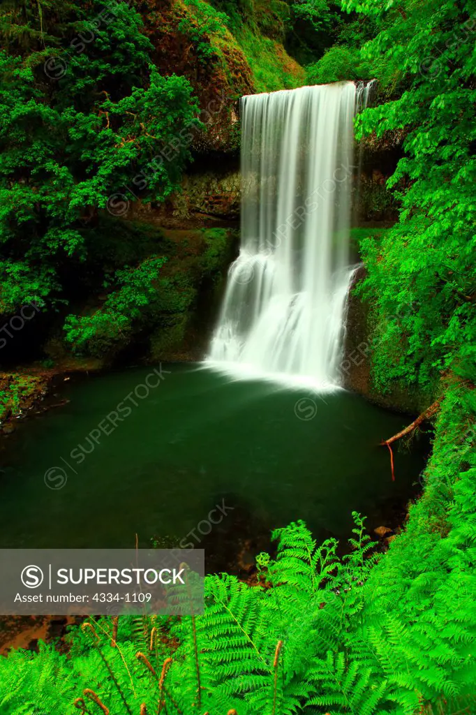 USA, Oregon, Silver Falls State Park, Lower South Falls