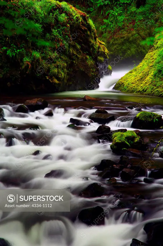 USA, Oregon, Columbia River Gorge National Scenic Area, Bridal Veil Creek