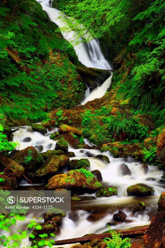 USA, Washington, Olympic National Park, The Quinault Rainforest, Bunch Falls