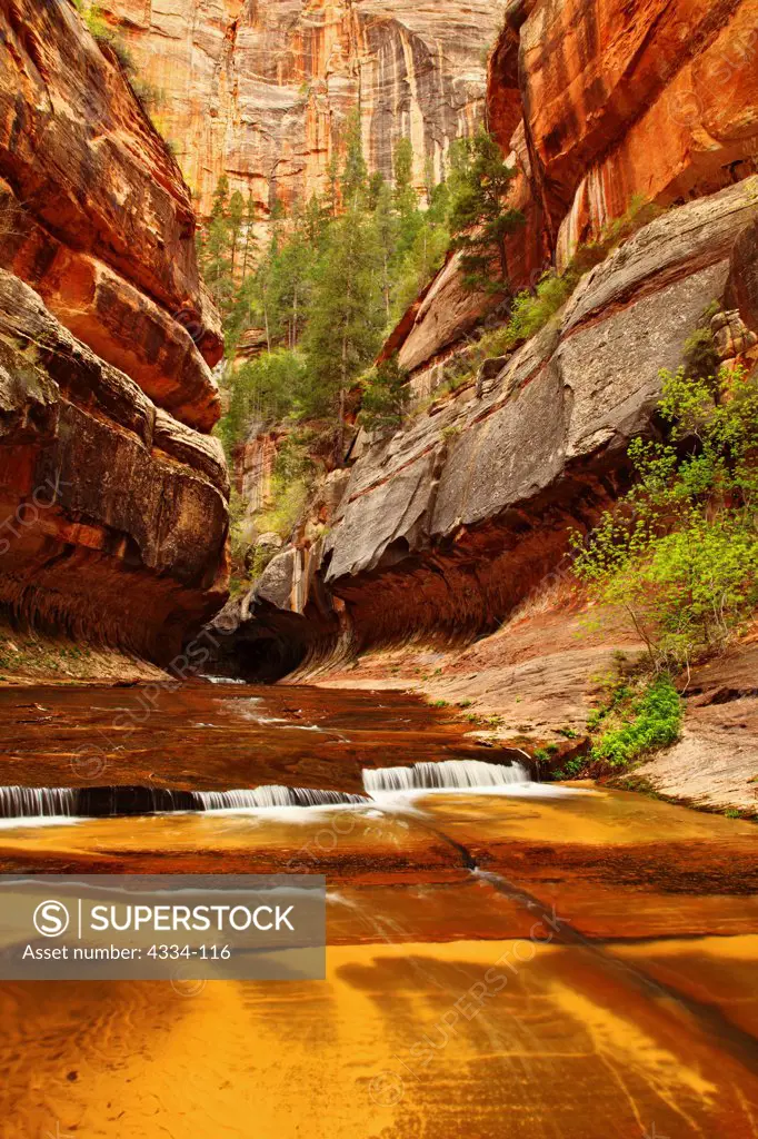 Entrance to 'The Subway', a slot canyon on the Left Fork of North Creek, at Zion National Park, Utah.