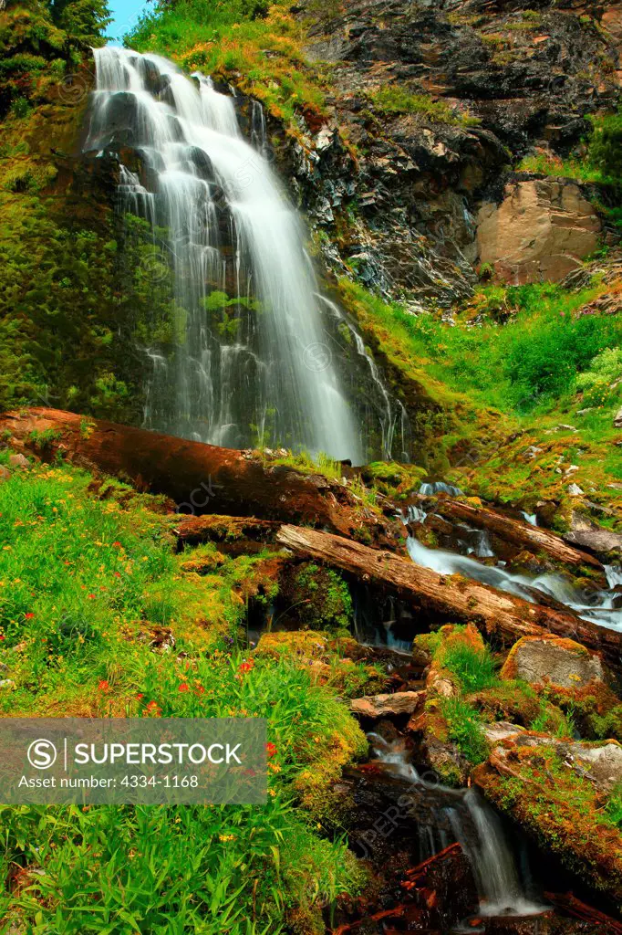 USA, Oregon, Wildflowers and Plaikni Falls in Crater Lake National Park