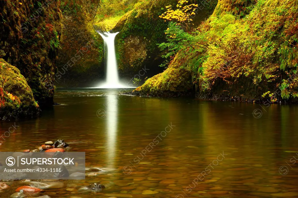 USA, Oregon, Fall Colors and Punch Bowl Falls in Eagle Creek Gorge in Columba River Gorge National Scenic Area