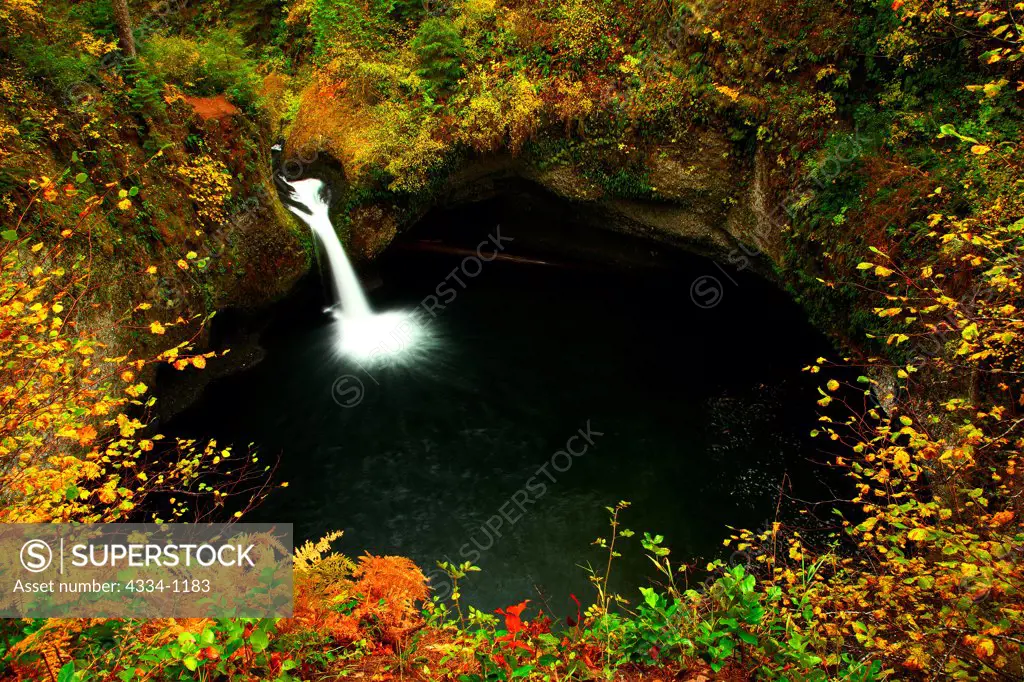 USA, Oregon, Fall Colors and Punch Bowl Falls in Eagle Creek Gorge in Columba River Gorge National Scenic Area