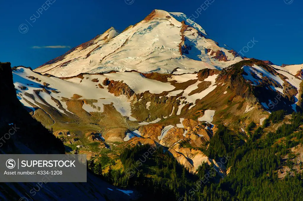 USA, Washington, View of Mt Baker from Chain Lakes Loop in Mt Baker National Recreation Area
