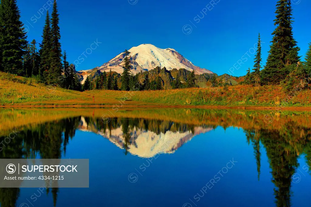 USA, Washington, Mt Rainier Reflecting in Tipsoo Lake in Mt Rainier National Park