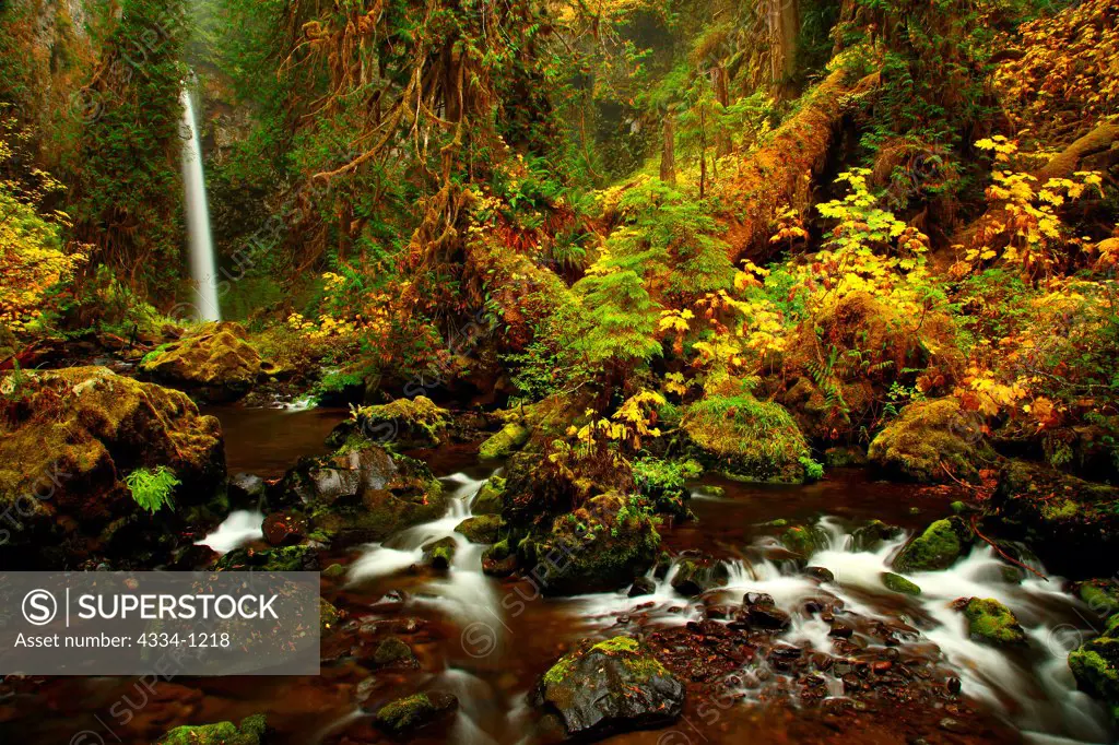 USA, Washington, Big Creek Falls in Gifford Pinchot National Forest