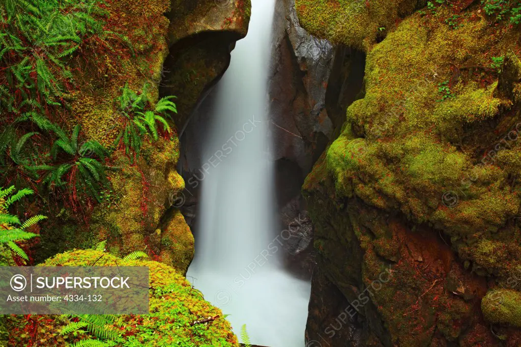 Ladder Creek Falls, in the Ross Lake National Recreation Area, North Cascades, Washington.
