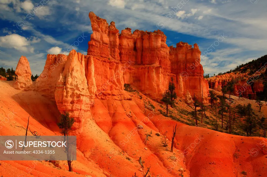 Fairyland Loop Trail Hoodoos in Bryce Canyon, Bryce Canyon National Park, Utah, USA