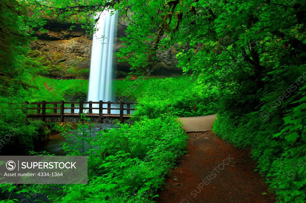 Waterfall in a forest, South Falls, Trail of Ten Falls, Silver Falls State Park, Oregon, USA
