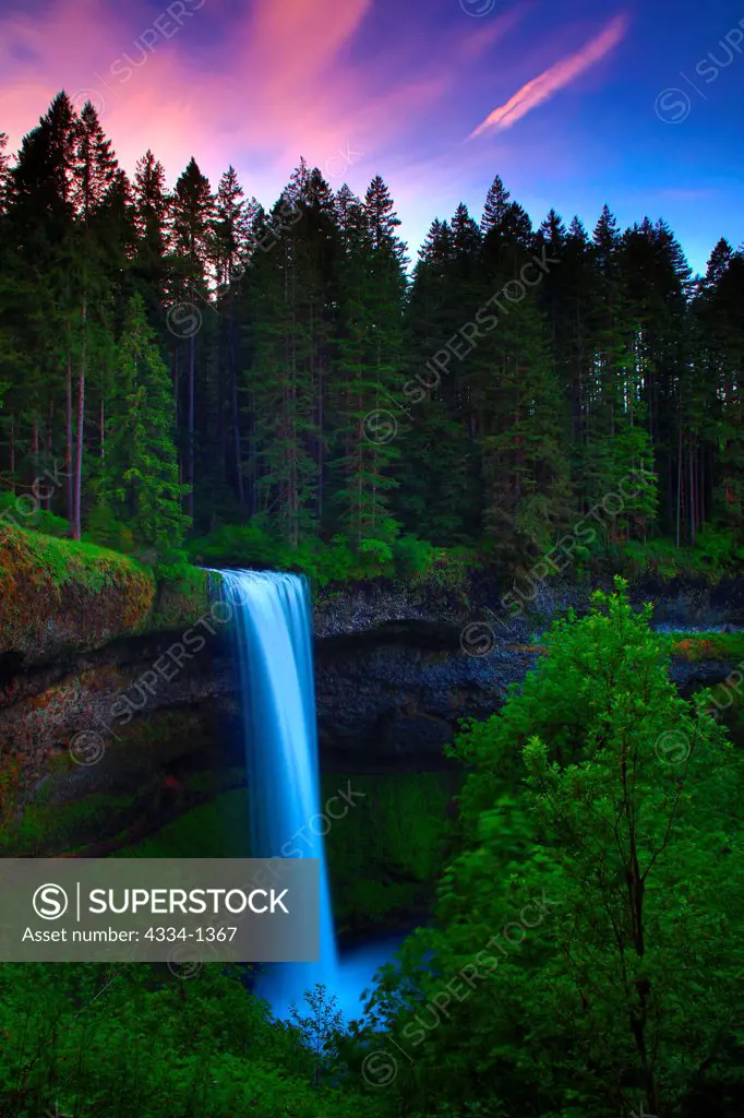 Waterfall in a forest at sunset, South Falls, Silver Falls State Park, Oregon, USA