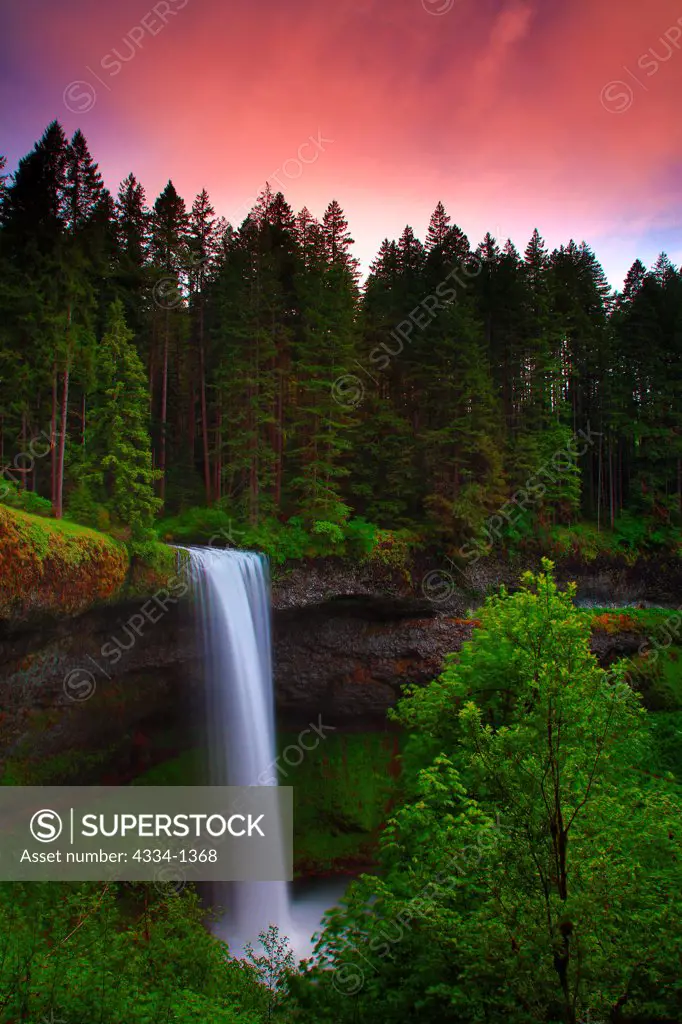 Waterfall in a forest at sunset, South Falls, Silver Falls State Park, Oregon, USA