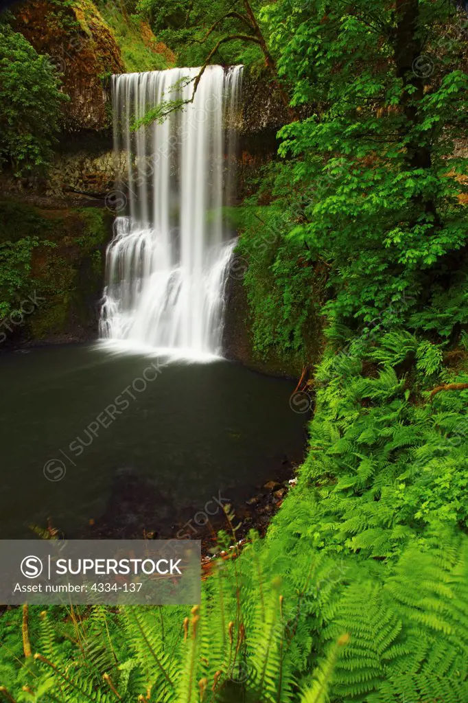 The Lower South Falls, Silver Falls State Park, Oregon.