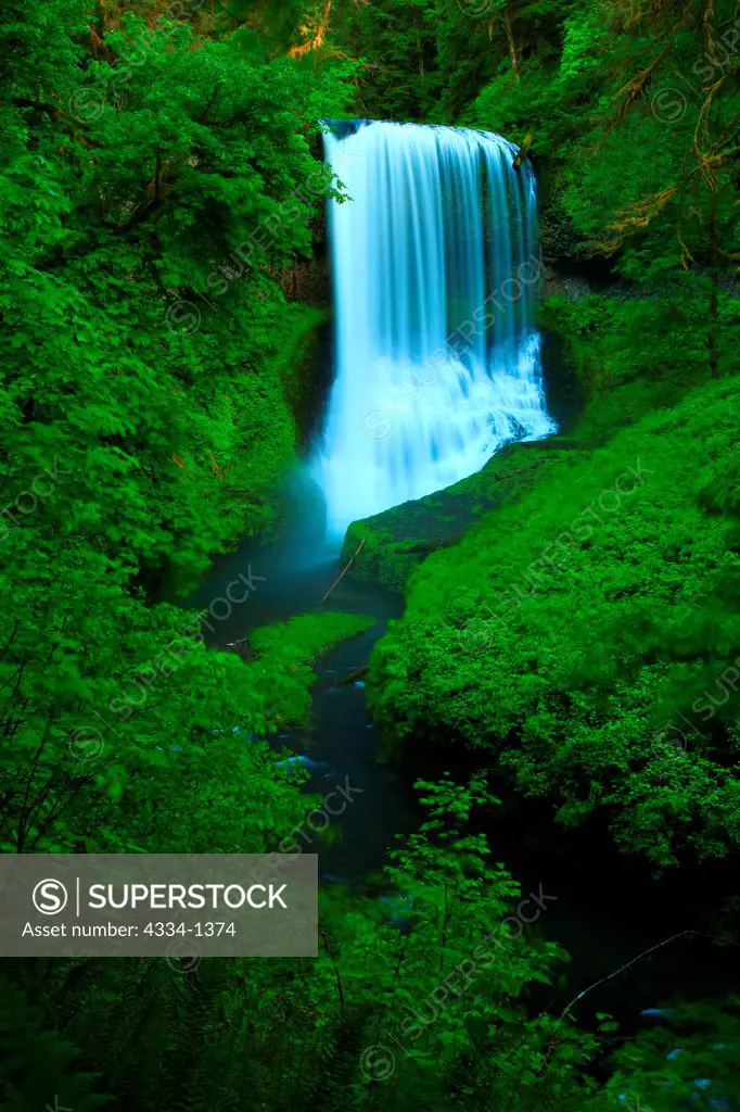 Waterfall in a forest, Middle North Falls, Trail of Ten Falls, Silver Falls State Park, Oregon, USA