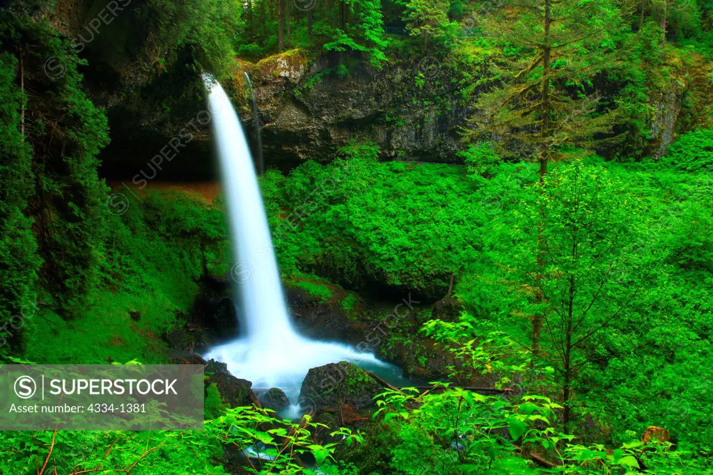 Waterfall in a forest, North Falls, Trail of Ten Falls, Silver Falls State Park, Oregon, USA