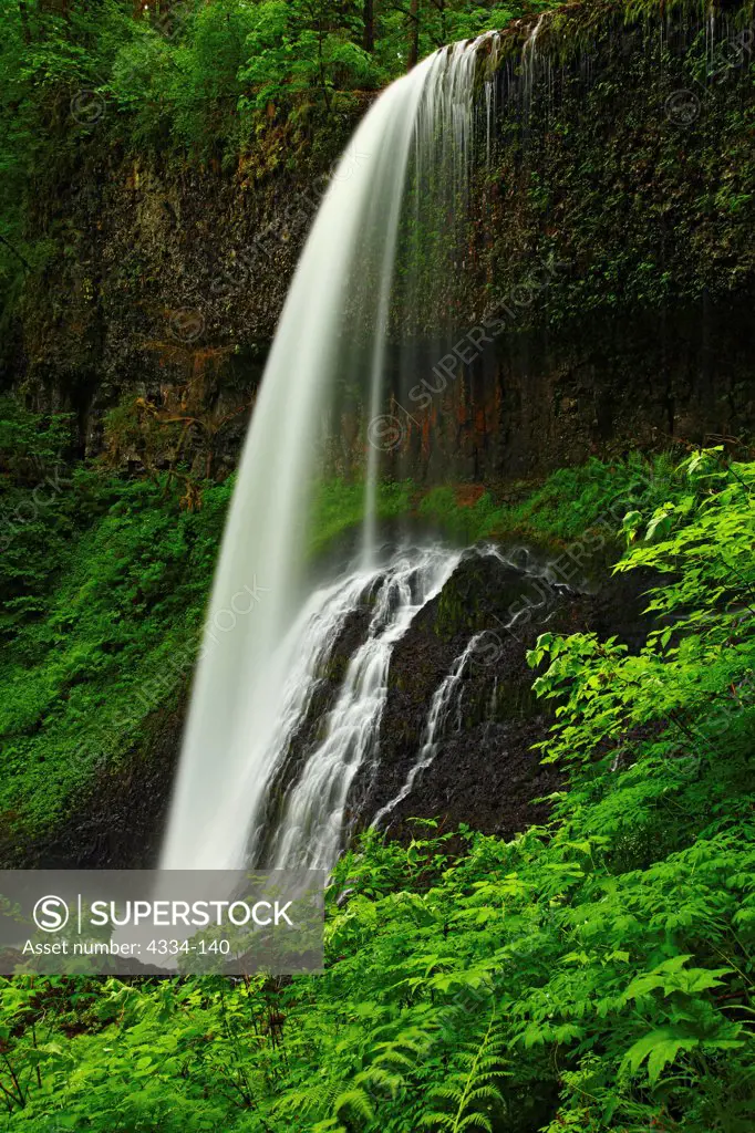 The Middle North Falls, Silver Falls State Park, Oregon.