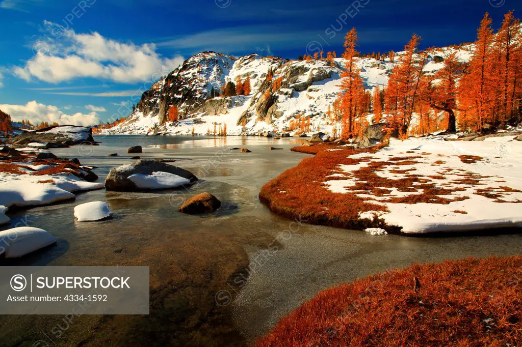 Golden Larch trees at the lakeside with mountain range in the background, Perfection Lake, Little Annapurna, Alpine Lakes Wilderness, Washington State, USA