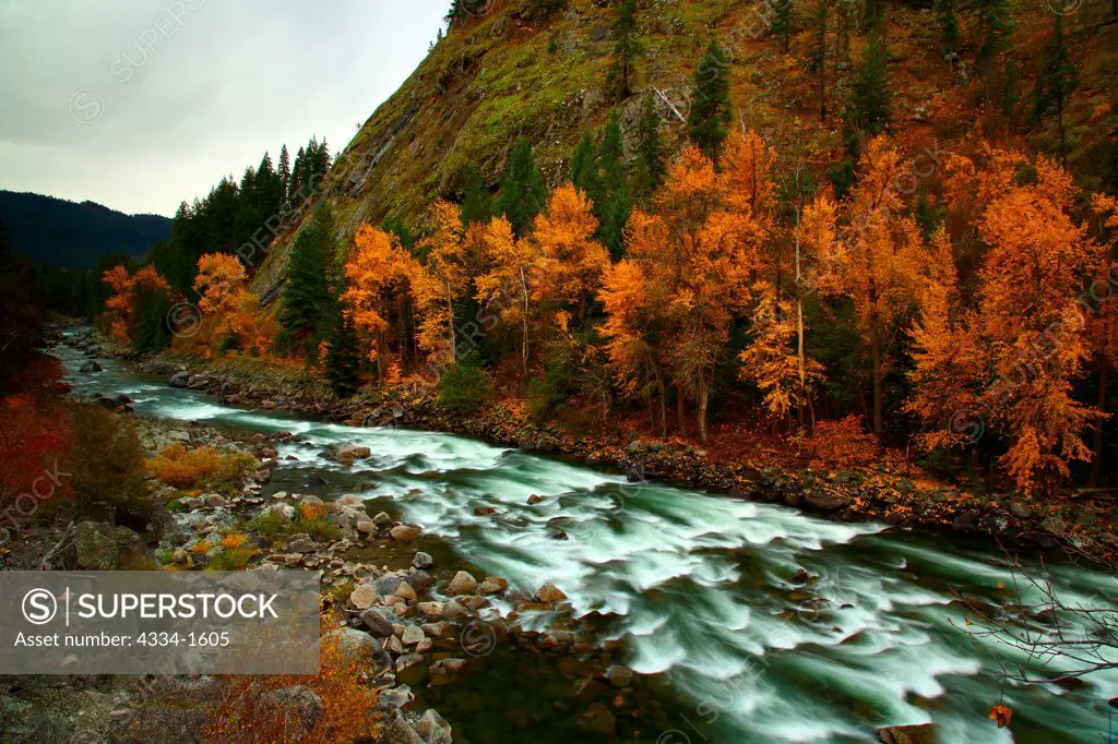 River flowing through a forest, Wenatchee River, Tumwater Canyon, Wenatchee National Forest, Washington State, USA