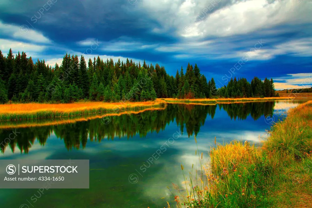 USA, Wyoming, Forest reflected in Snake River from Grand Teton National Park