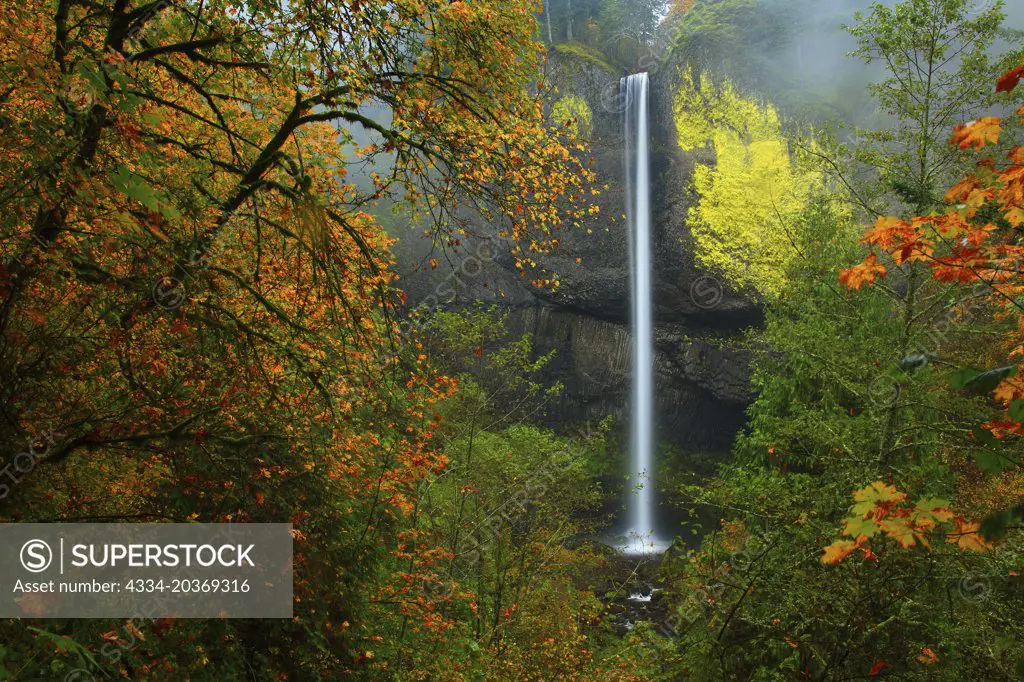 Fall Color and Latourell Falls in the Columbia River Gorge National Scenic Area of Oregon