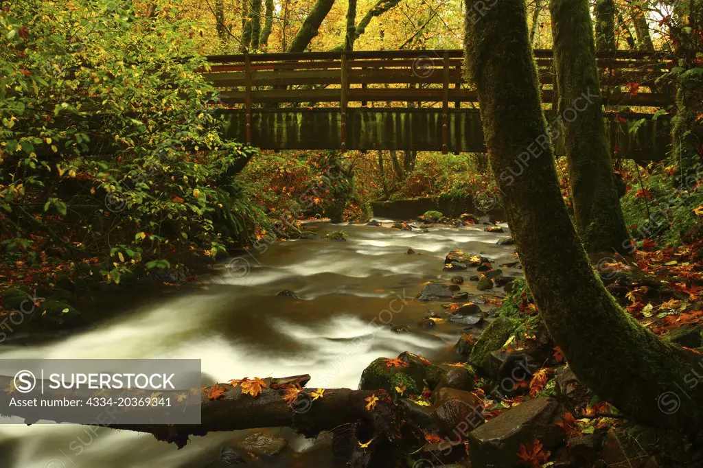 Fall Color With a Hiking Bridge Over Bridal Veil Creek in Bridal Veil Falls State Park in The Columbia IRver Gorge National Scenic Area of Oregon