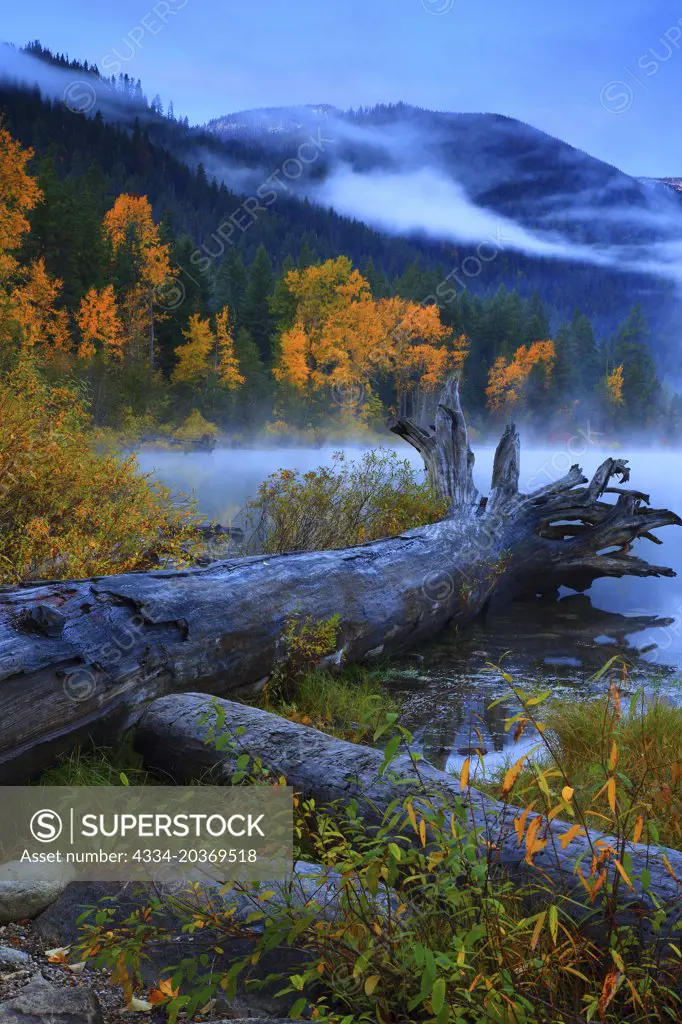 Fall Color and Lake Wenatchee From Lake Wenatchee State Park in Washington
