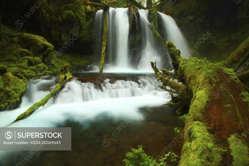 Lower Panther Creek Falls in Skamania County in ther Gifford Pinchot National Forest of Washington