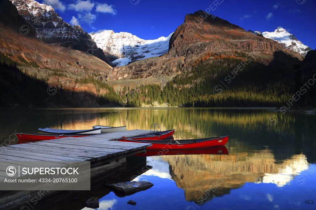 Evening Light With Dock and Canoes on Lake O'Hara With Mount Lefroy in the Canadian Rockies of Yoho National Park in British Columbia Canada