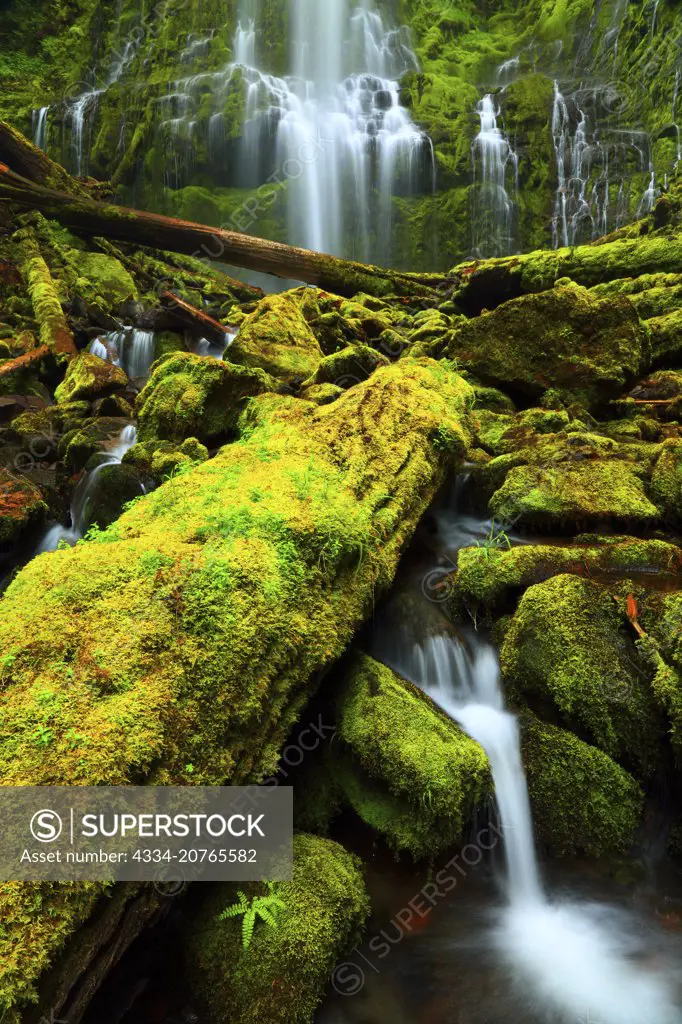 Proxy Falls in the Three Sisters Wilderness in the Willamette National Forest in Oregon